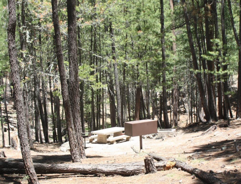 Camper submitted image from Spencer Canyon Campground - 4