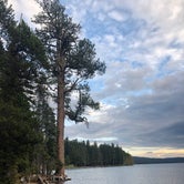 Review photo of Rainbow Bay at Lake of the Woods by Andrew H., June 28, 2018