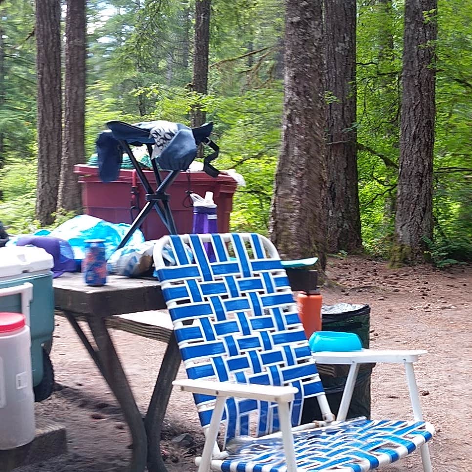 Swift Forest Camp Camping The Dyrt