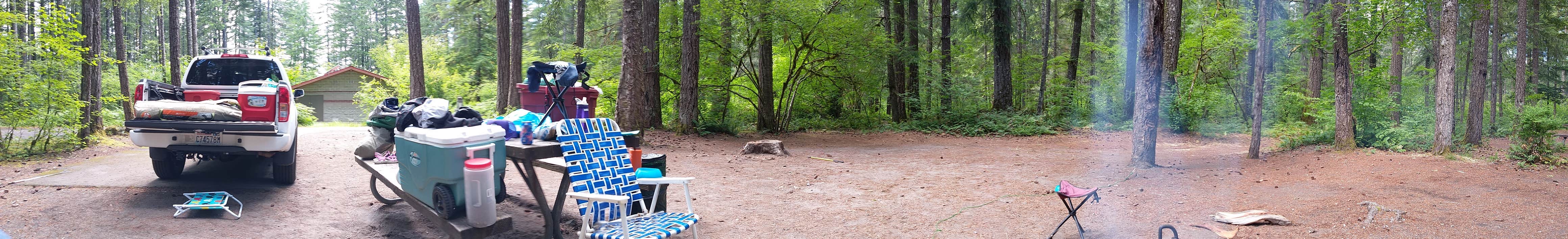 Swift Forest Camp Camping The Dyrt