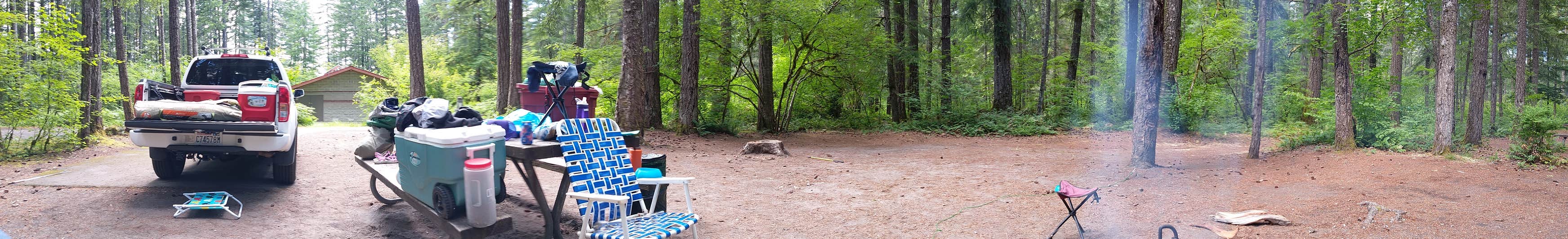 Swift Forest Camp Camping The Dyrt