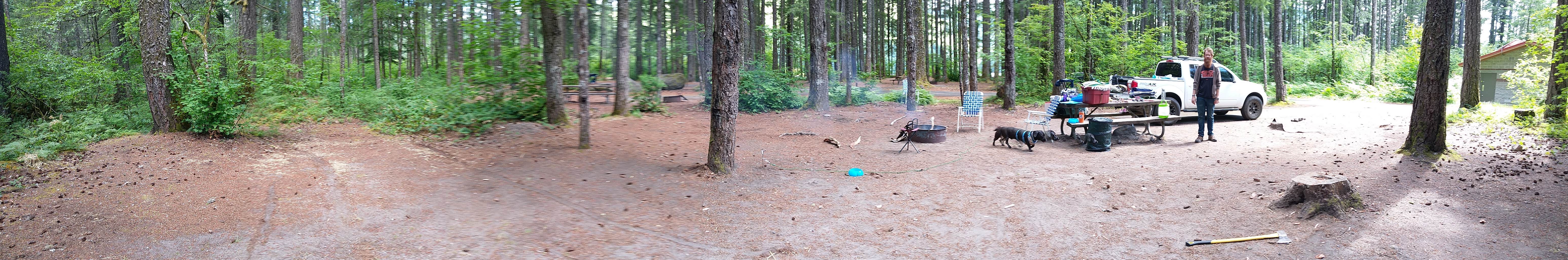Camper-submitted photo at Swift Forest Camp near Cougar, WA