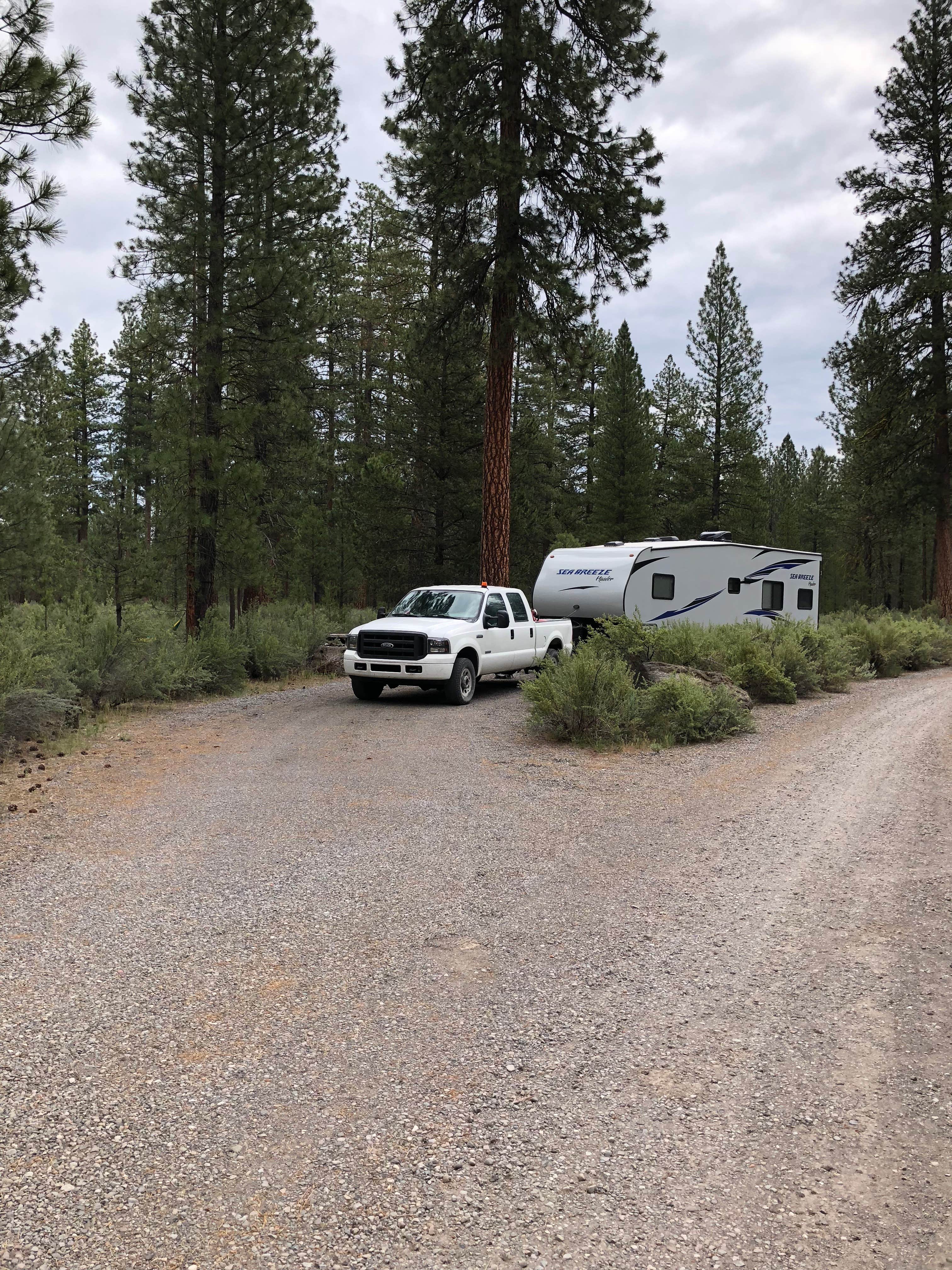 Camper-submitted photo at Williamson River Campground near Fort Klamath, OR