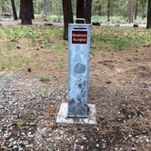 Review photo of Collier Memorial State Park Campground by Brian C., June 28, 2018