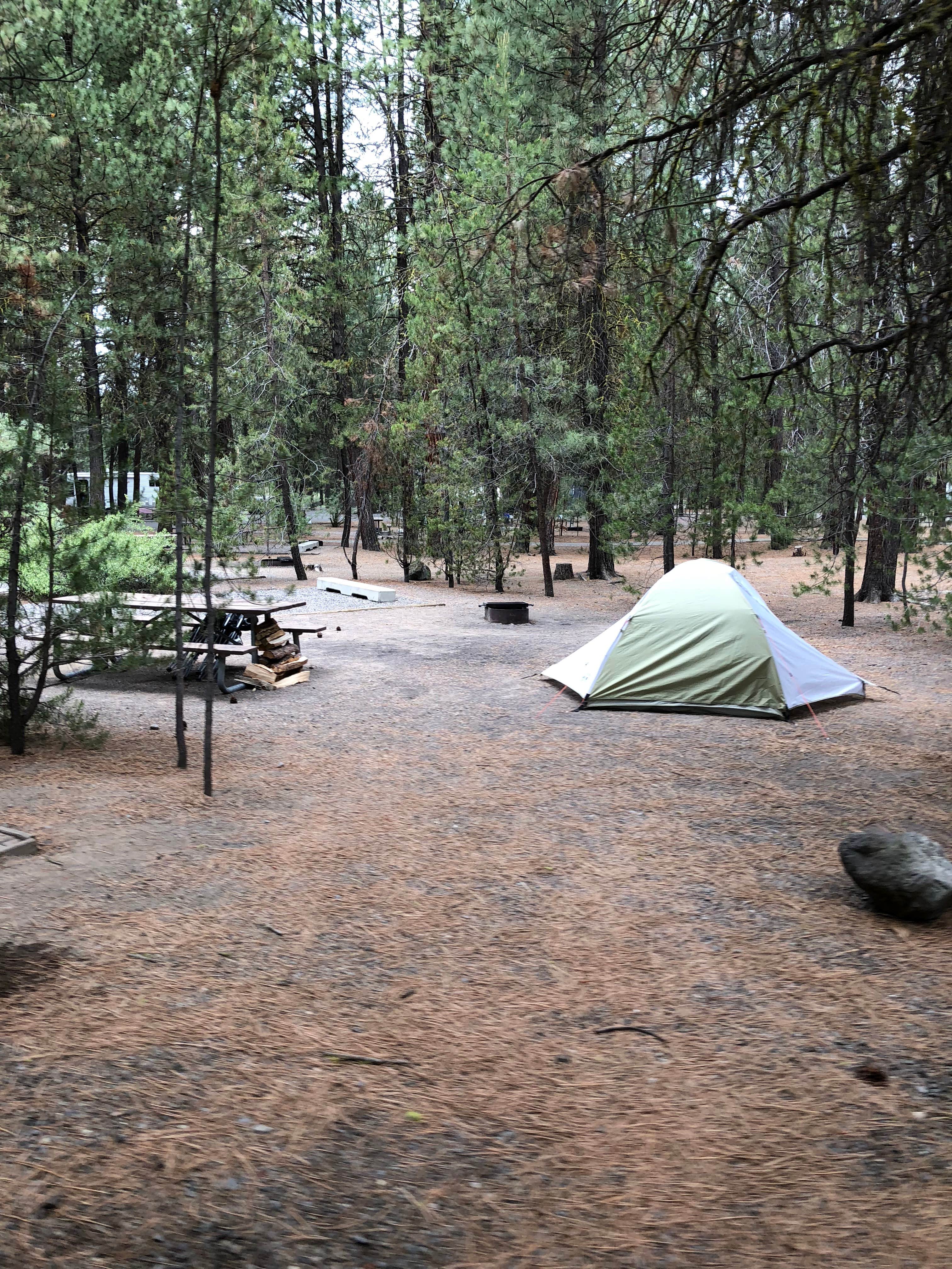 Camper-submitted photo at Collier Memorial State Park Campground near Chiloquin, OR