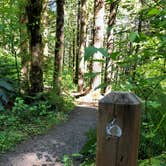 Review photo of Elk Creek Campground by Brian C., June 28, 2018