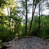 Review photo of Cedar Creek Corridor Primitive Camping by Brian C., June 28, 2018