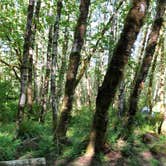 Review photo of Cedar Creek Corridor Primitive Camping by Brian C., June 28, 2018