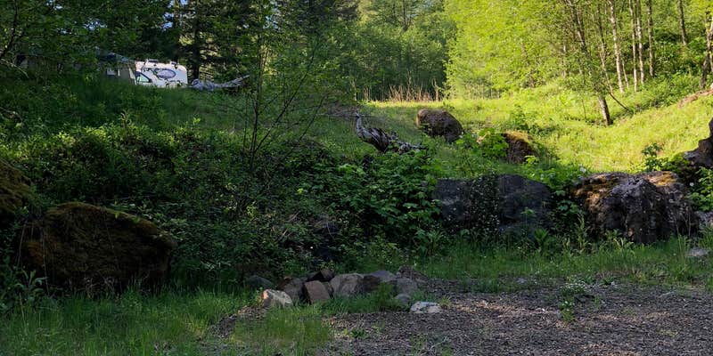 Camper submitted image from Cedar Creek Corridor Primitive Camping