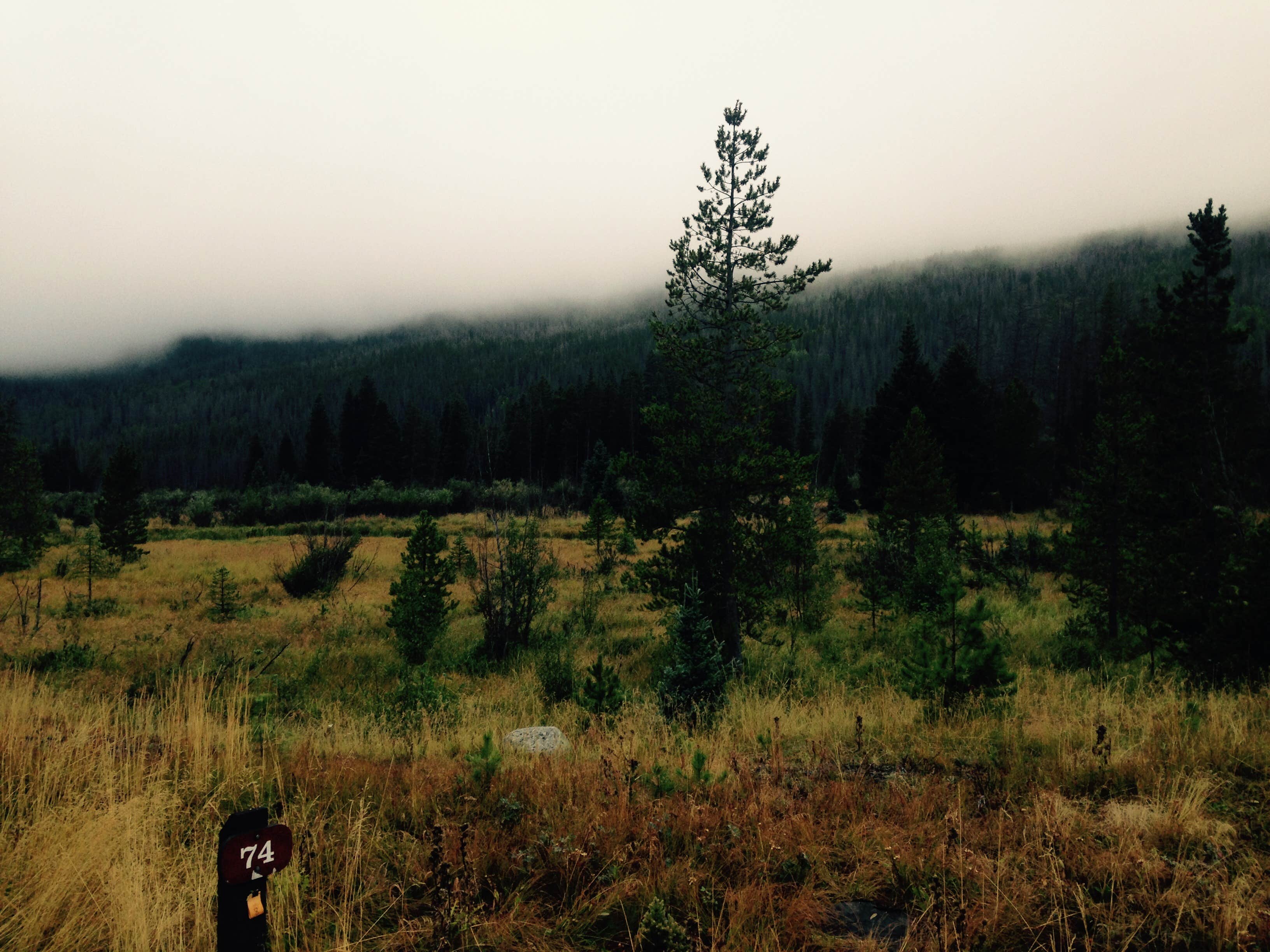 Camper submitted image from Timber Creek Campground — Rocky Mountain National Park - 2
