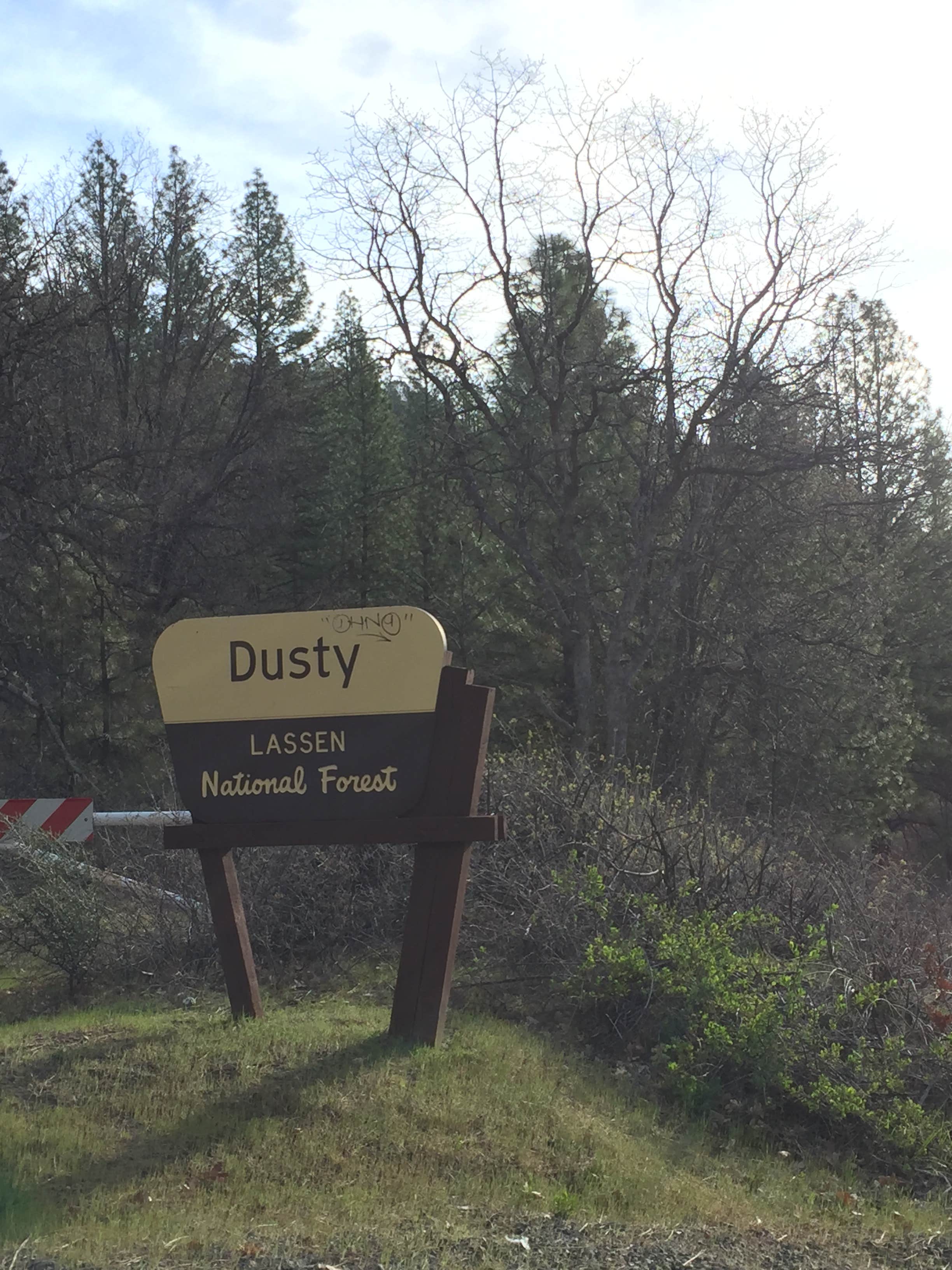 Camper submitted image from Dusty Campground - 2