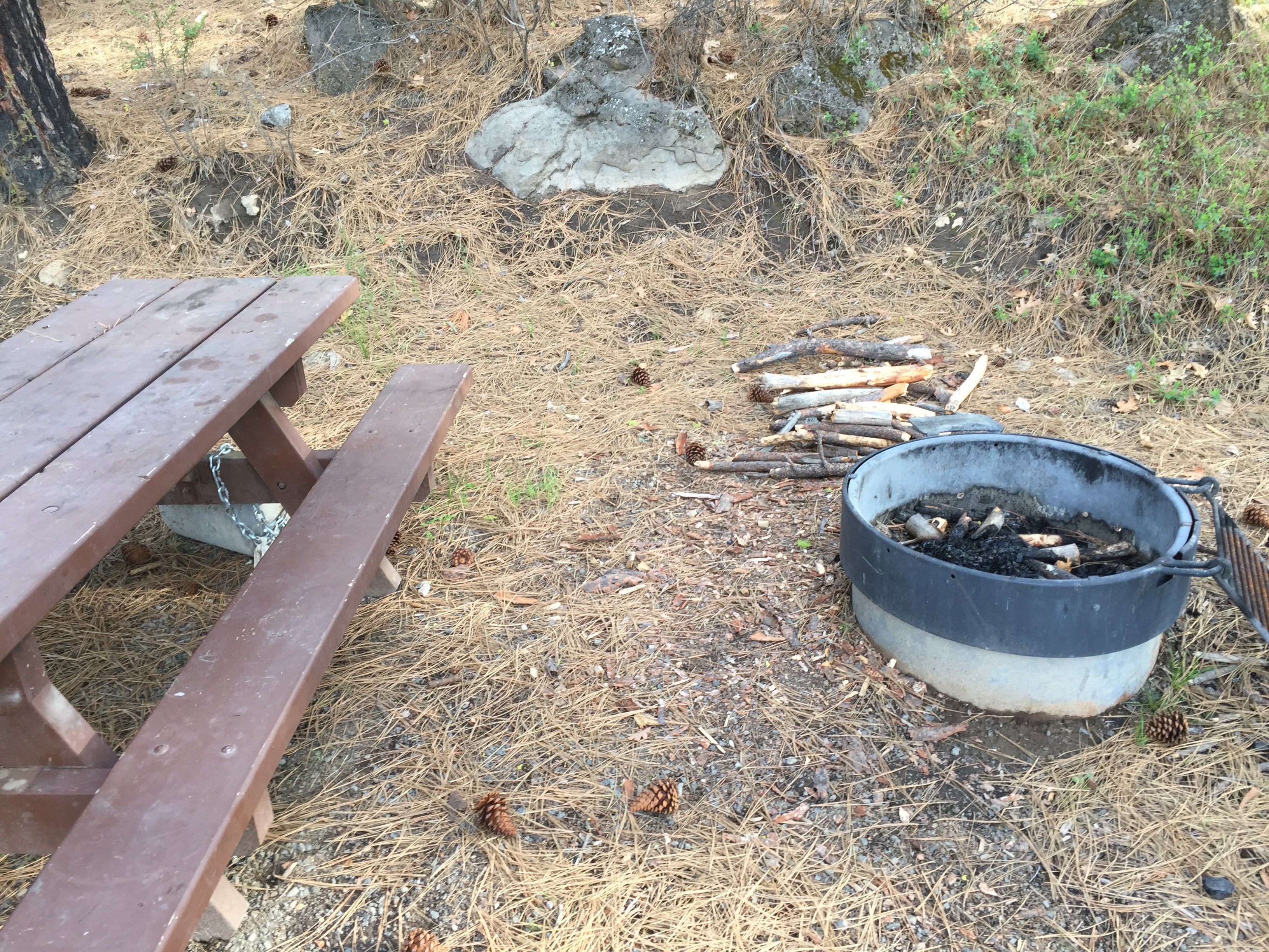 Fire pit and picnic table