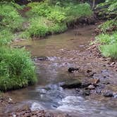 Review photo of Allegheny River Campground by Lindsay S., June 28, 2018