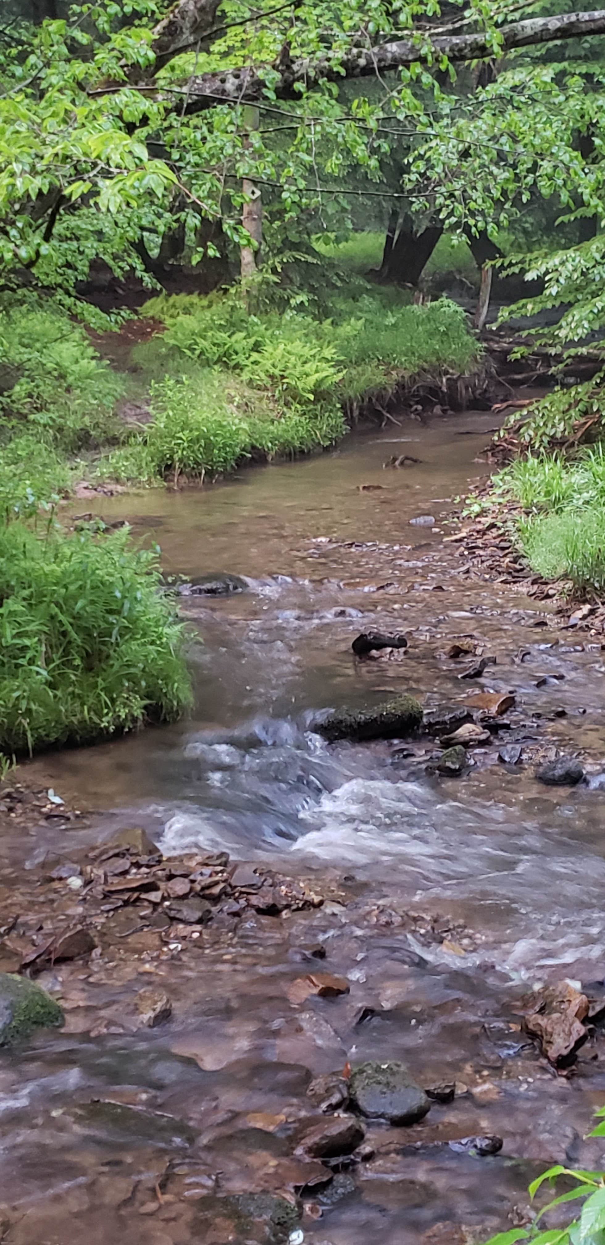 Camper submitted image from Allegheny River Campground - 3