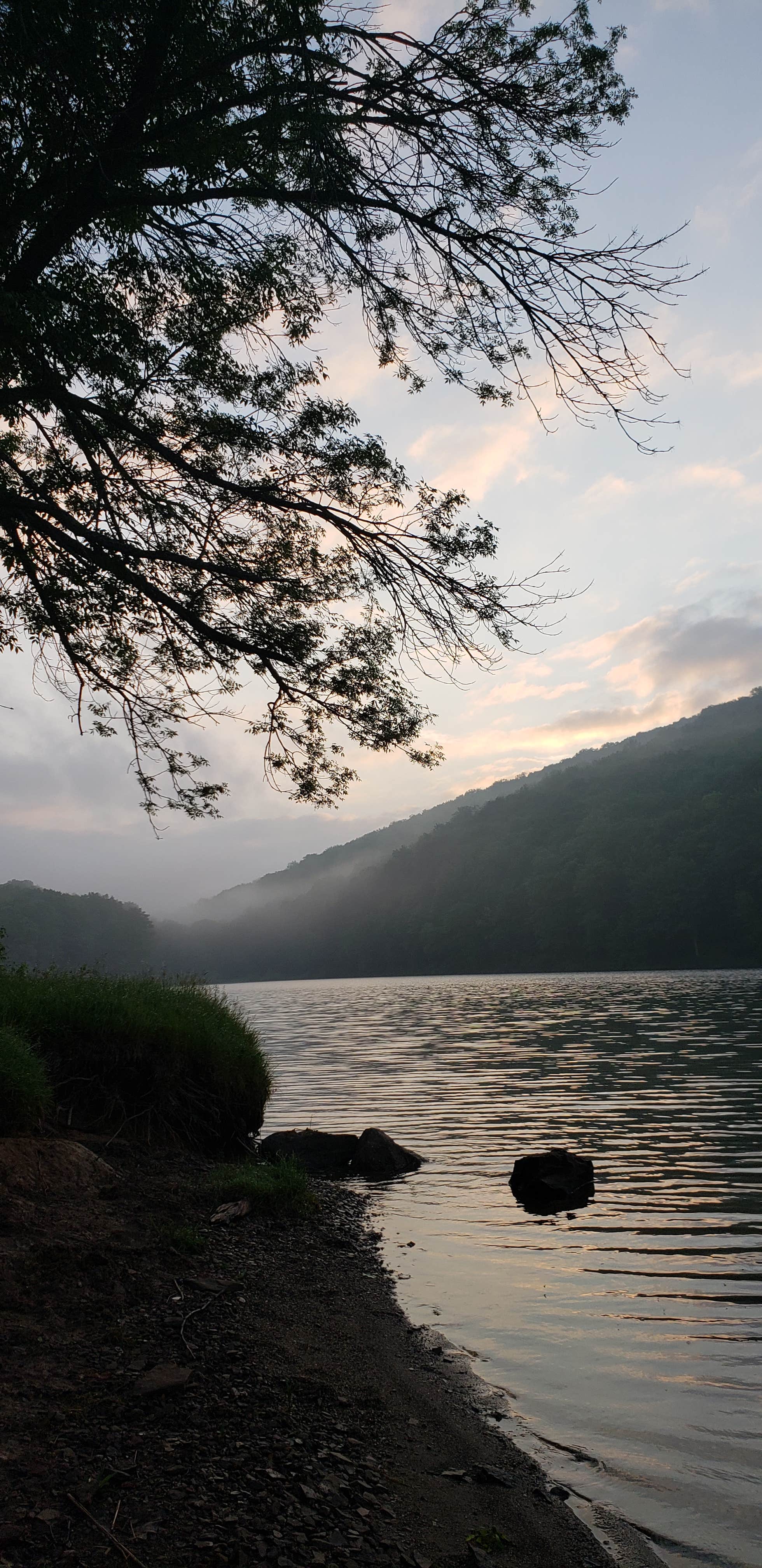 Camper-submitted photo at Allegheny River Campground near Bradford, PA