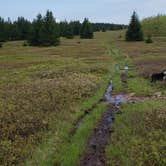 Review photo of Red Creek Campground by Lindsay S., June 28, 2018