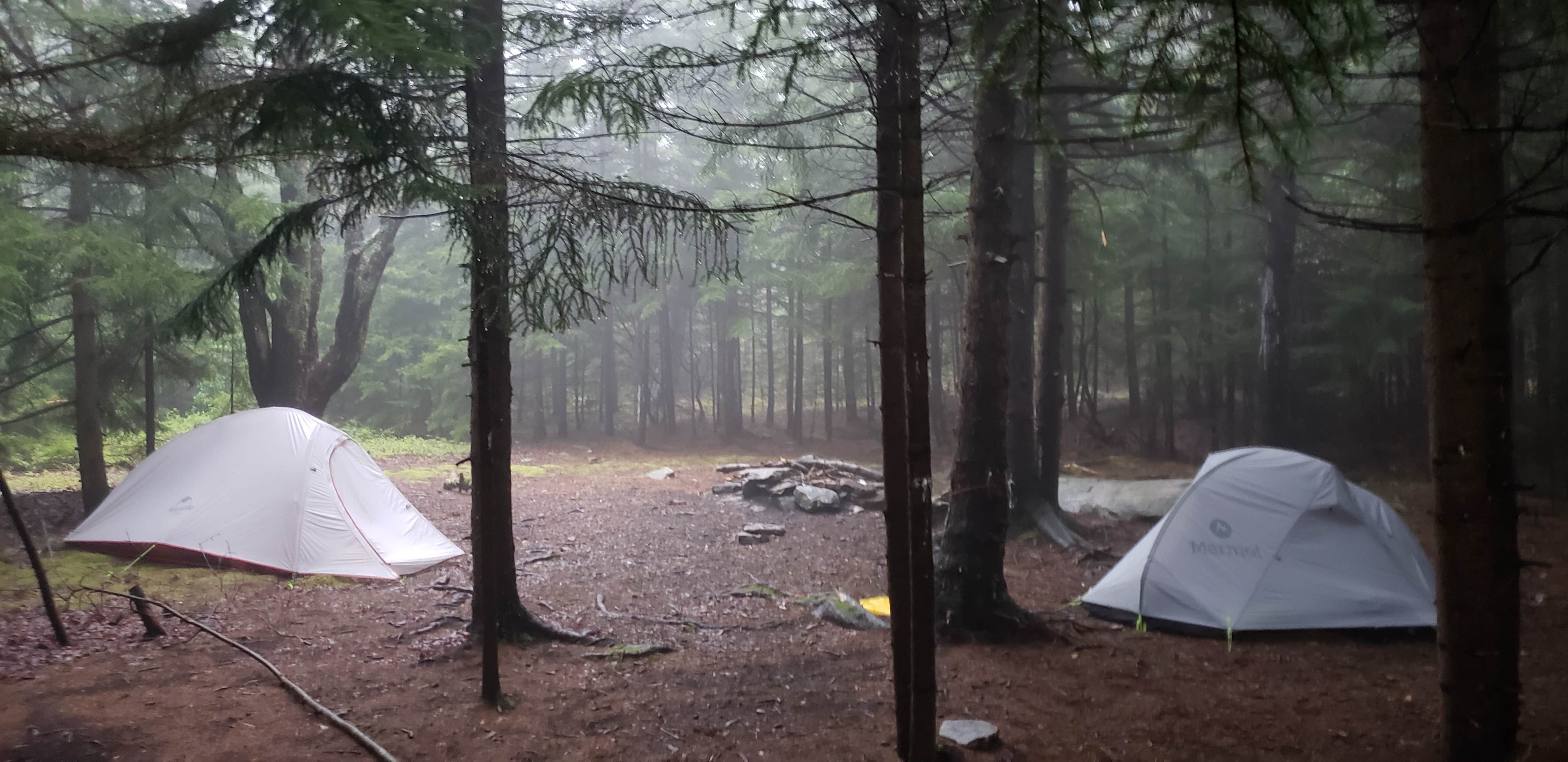 Lindsay S.'s photo at Red Creek Campground near Dryfork, WV