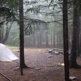 Review photo of Red Creek Campground by Lindsay S., June 28, 2018