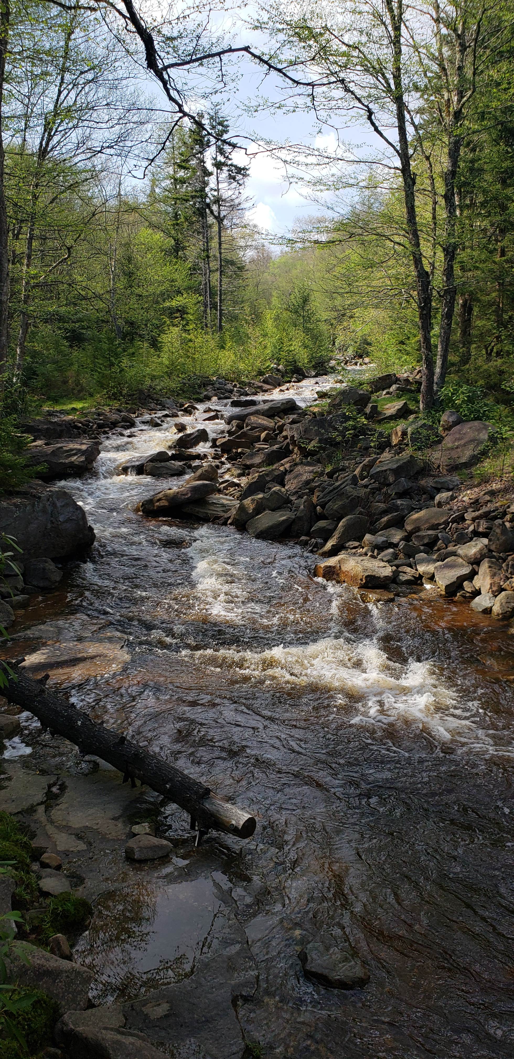 Water