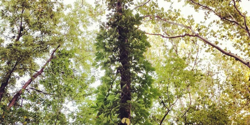 Camper submitted image from Davis Creek Campground — Kankakee River State Park