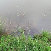 Review photo of Four Coves Campground — Beech Fork State Park by Billy B., May 20, 2015