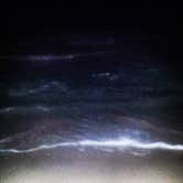 Review photo of South Beach — Padre Island National Seashore by Andrea F., July 21, 2016