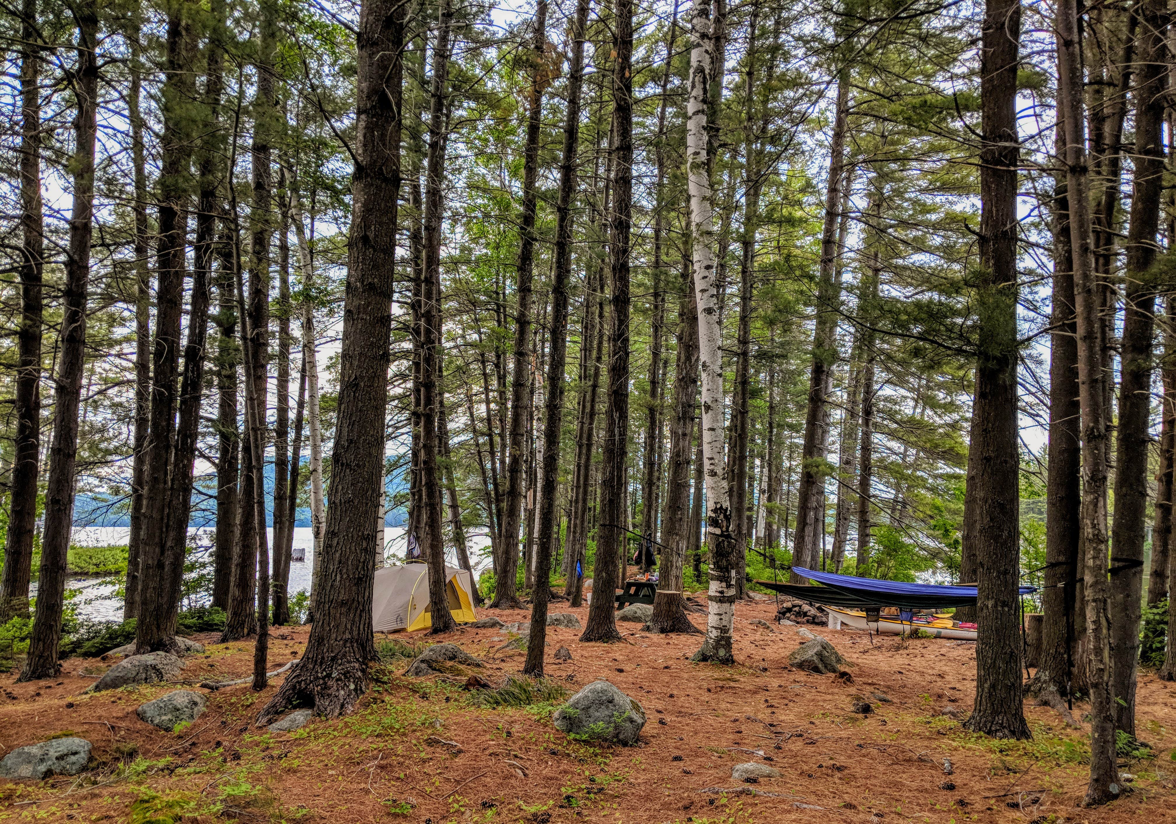 Looking back at camp from the hike to the privy.