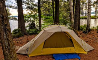 Shari G.'s photo of a dispersed camping area at Cranberry Lake Backcountry Sites in New York