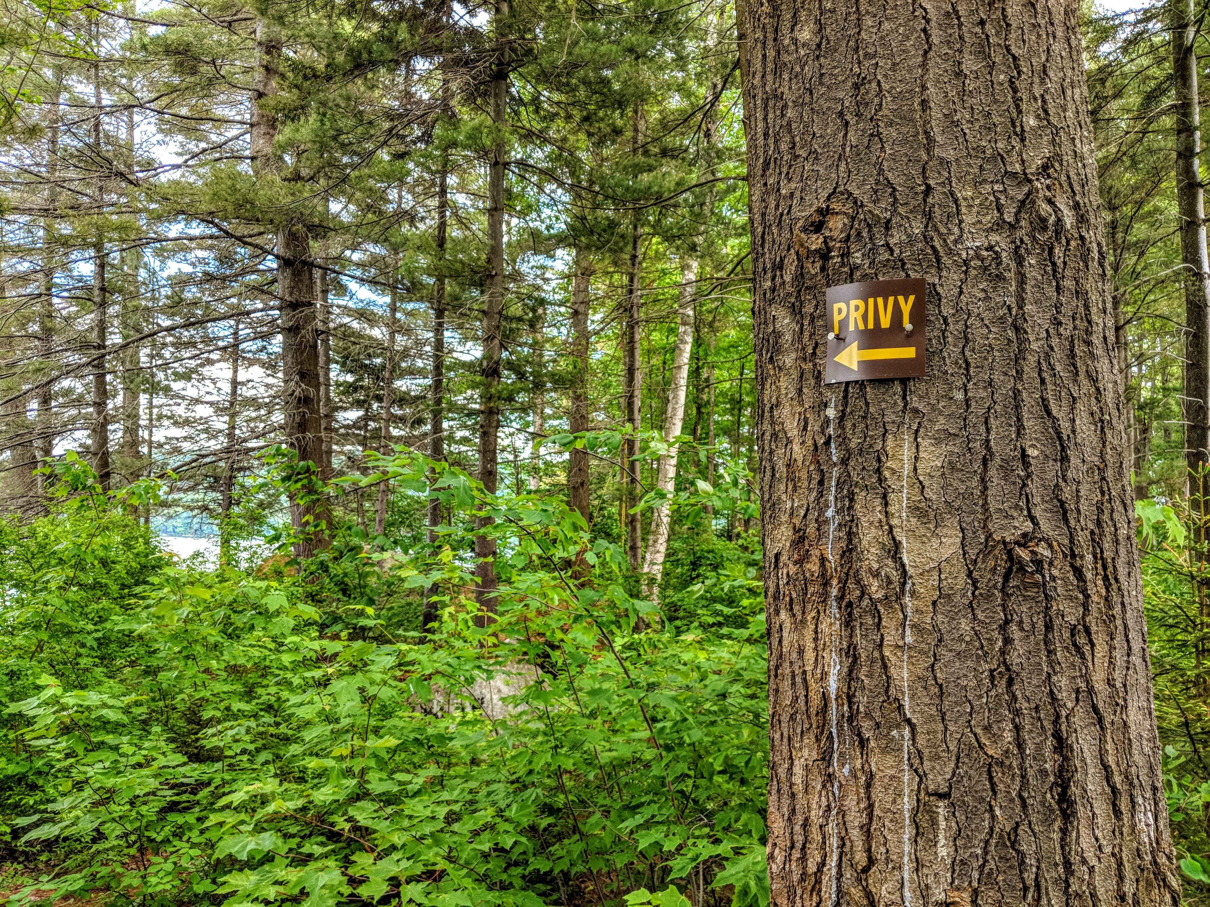 Camper-submitted photo at Cranberry Lake Backcountry Sites near Newton Falls, NY