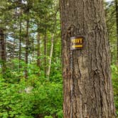 Review photo of Cranberry Lake Backcountry Sites by Shari  G., June 28, 2018