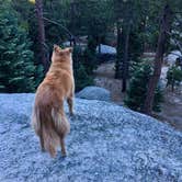 Review photo of Boulder Basin by Krystle L., June 28, 2018