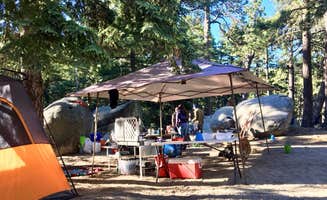 Krystle L.'s photo at Boulder Basin near Palm Springs, CA