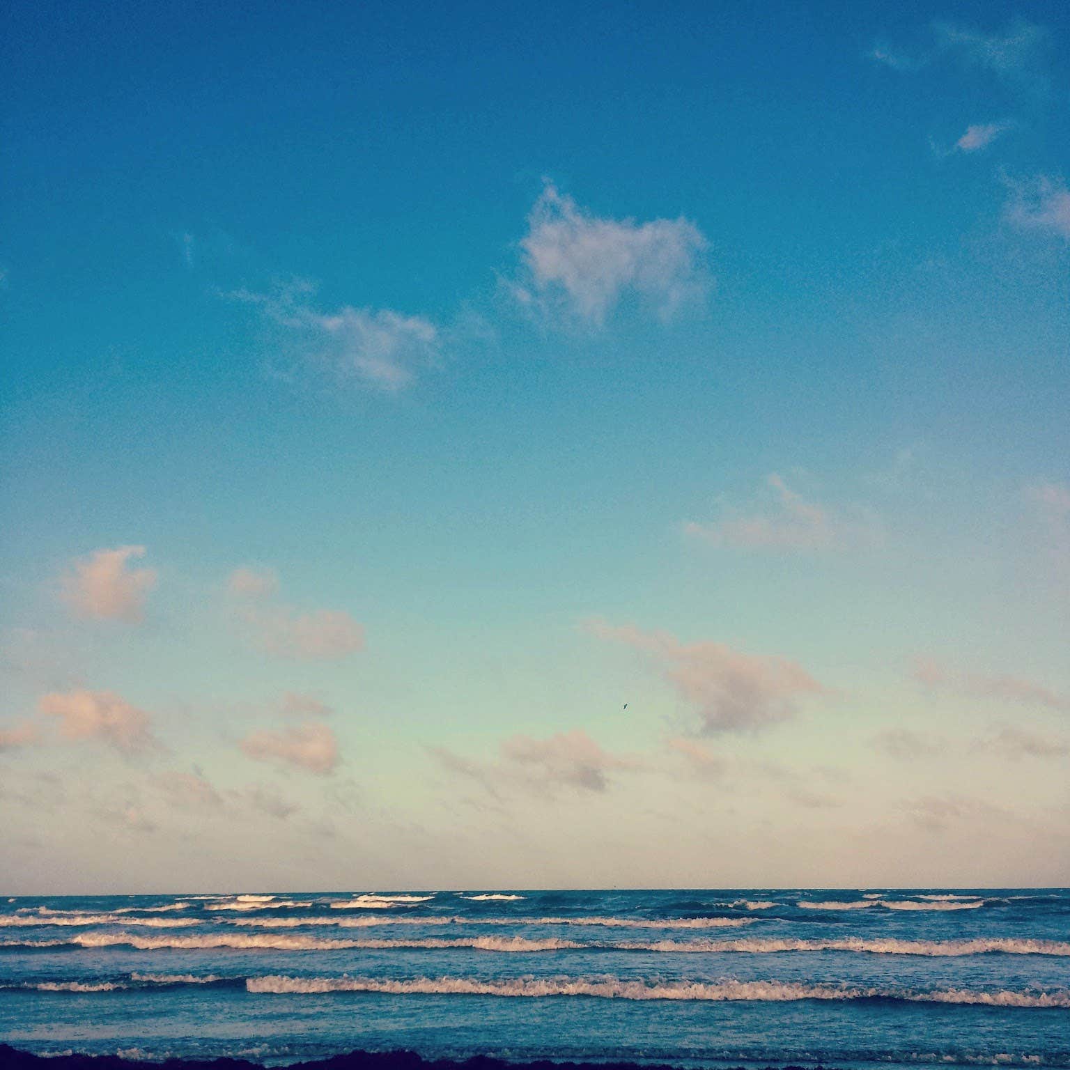 Camper submitted image from South Beach — Padre Island National Seashore - 4