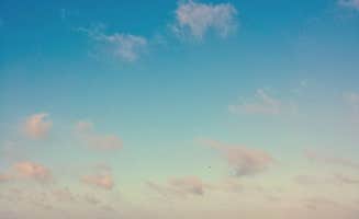Andrea F.'s photo of a dispersed camping area at South Beach — Padre Island National Seashore near Corpus Christi, TX