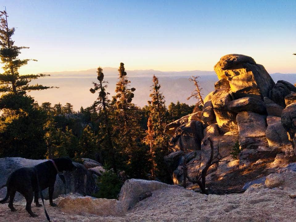 Camper submitted image from Boulder Basin - 3