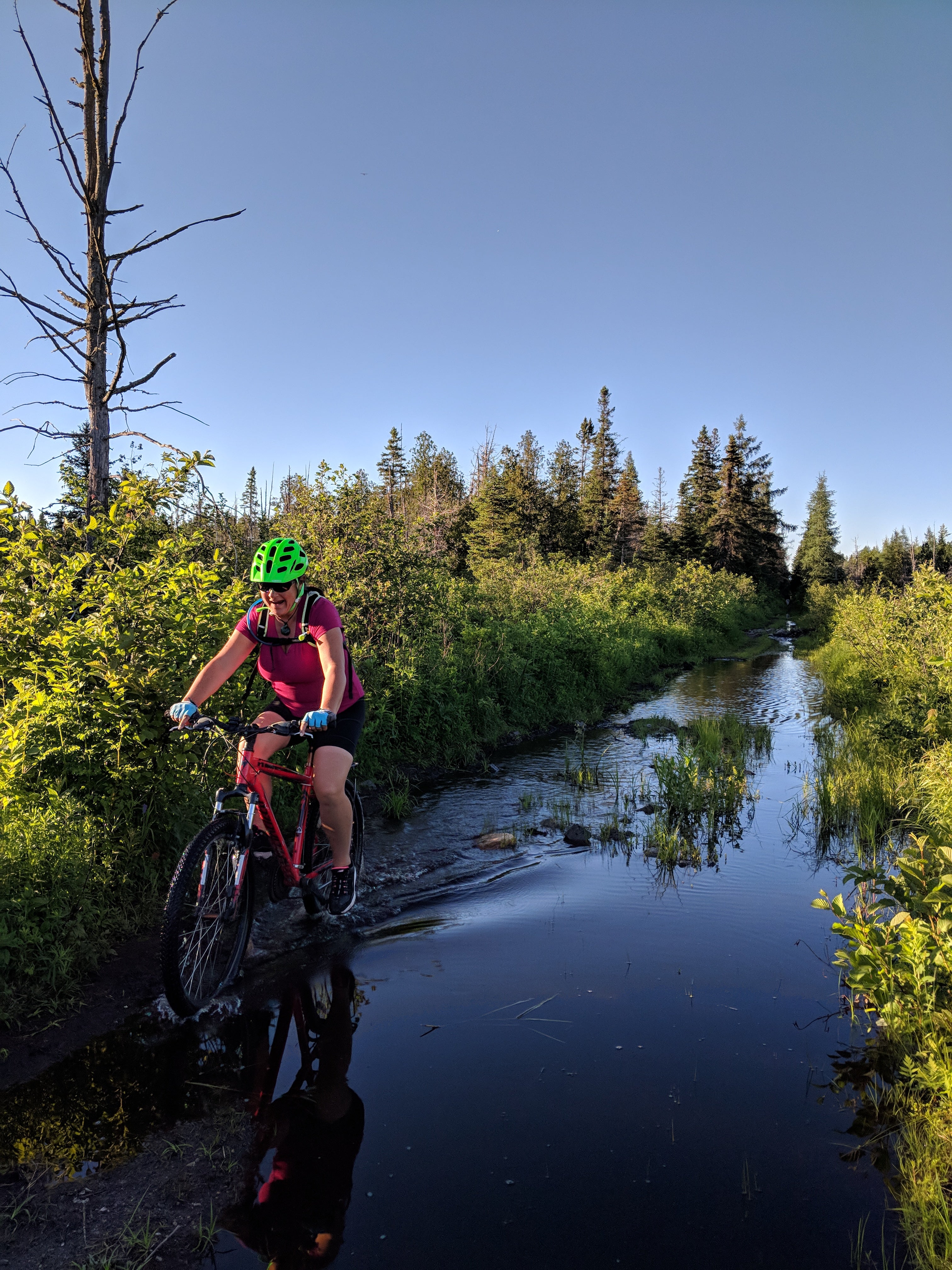 Biking through the bog!  It's really the trail, but the bog overflowed.