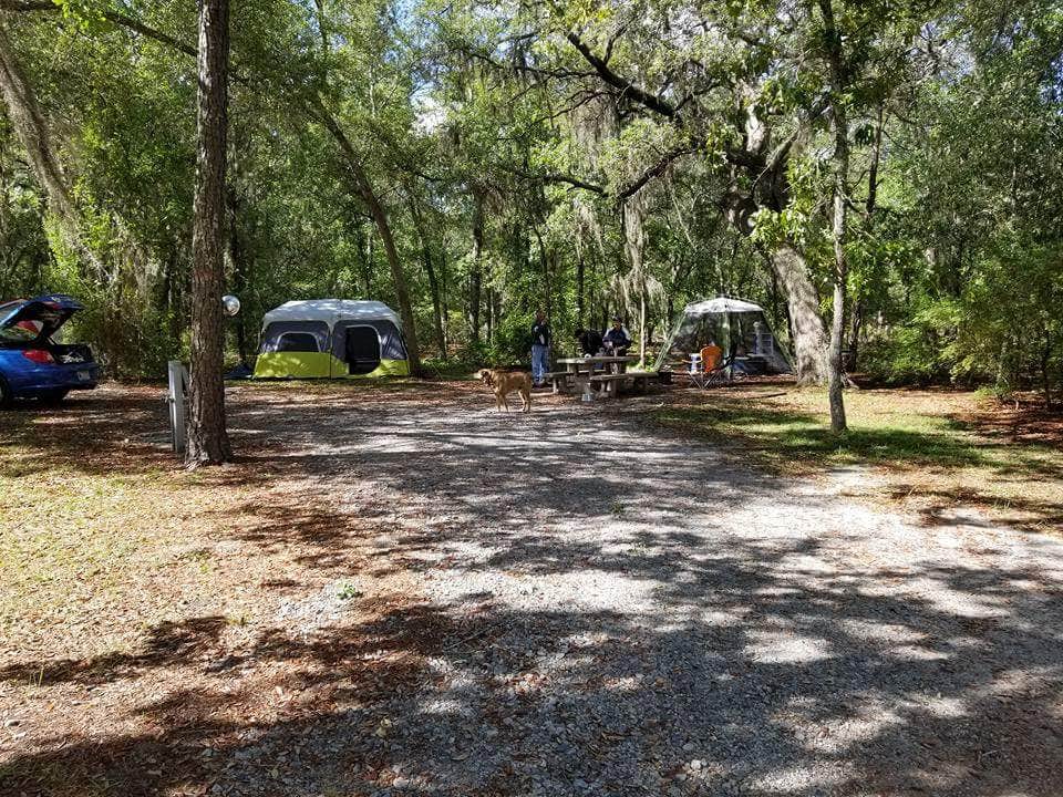 Camper submitted image from General Coffee State Park Campground - 5