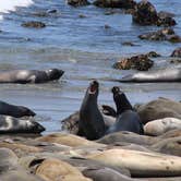 Review photo of San Simeon Creek Campground — Hearst San Simeon State Park by Annie C., June 28, 2018