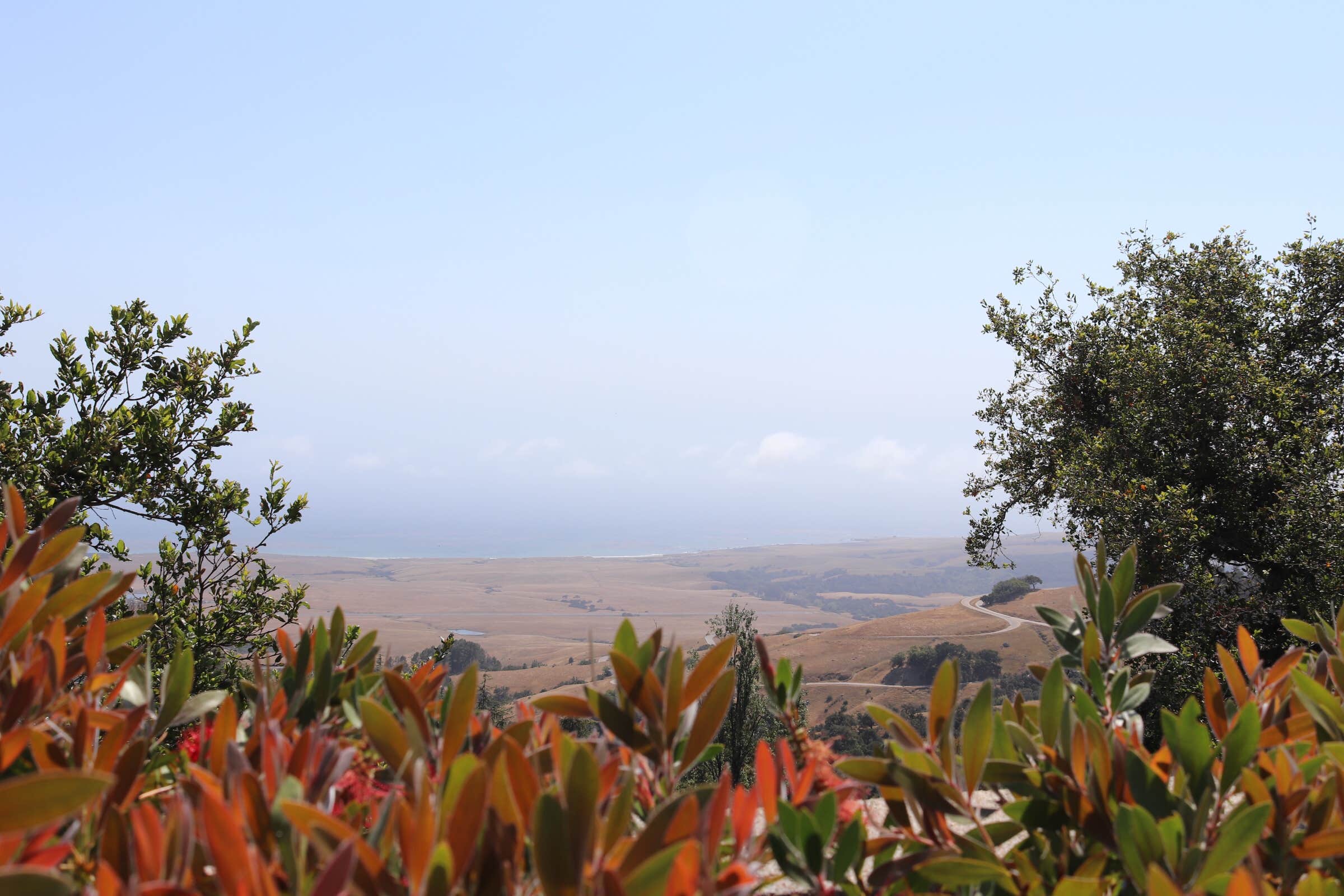 Camper submitted image from San Simeon Creek Campground — Hearst San Simeon State Park - 2