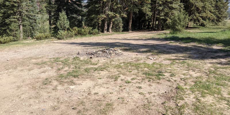 Camper submitted image from East Fork Sevier River Dispersed Campsites