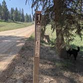 Review photo of East Fork Sevier River Dispersed Campsites by Greg L., September 7, 2021