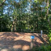 Review photo of Shady Knoll Campground by Kathy L., September 7, 2021