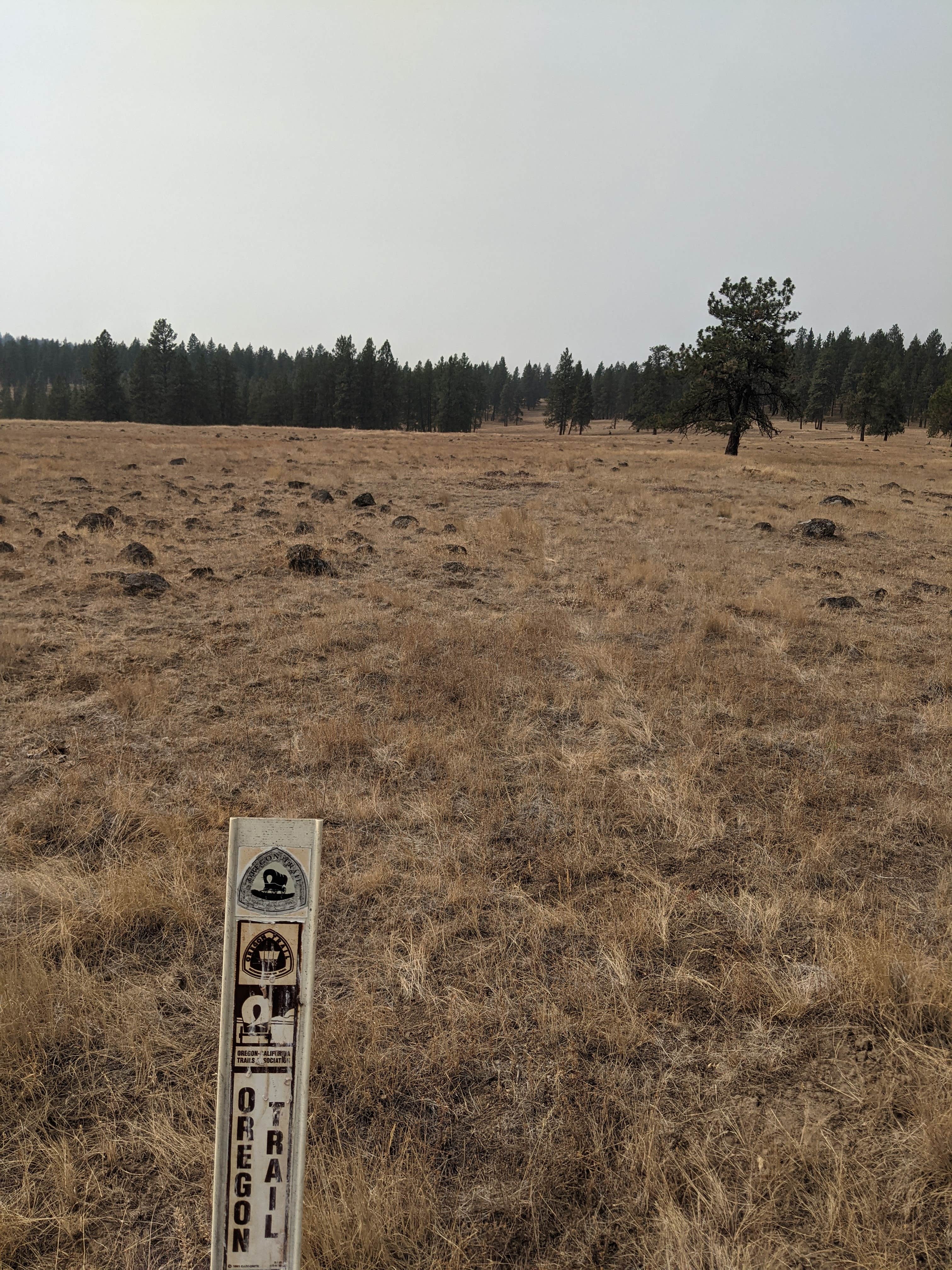 Camper-submitted photo at Hilgard Junction State Park Campground near Meacham, OR