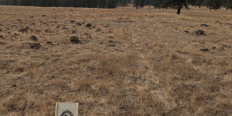 Camper submitted image from Hilgard Junction State Park Campground