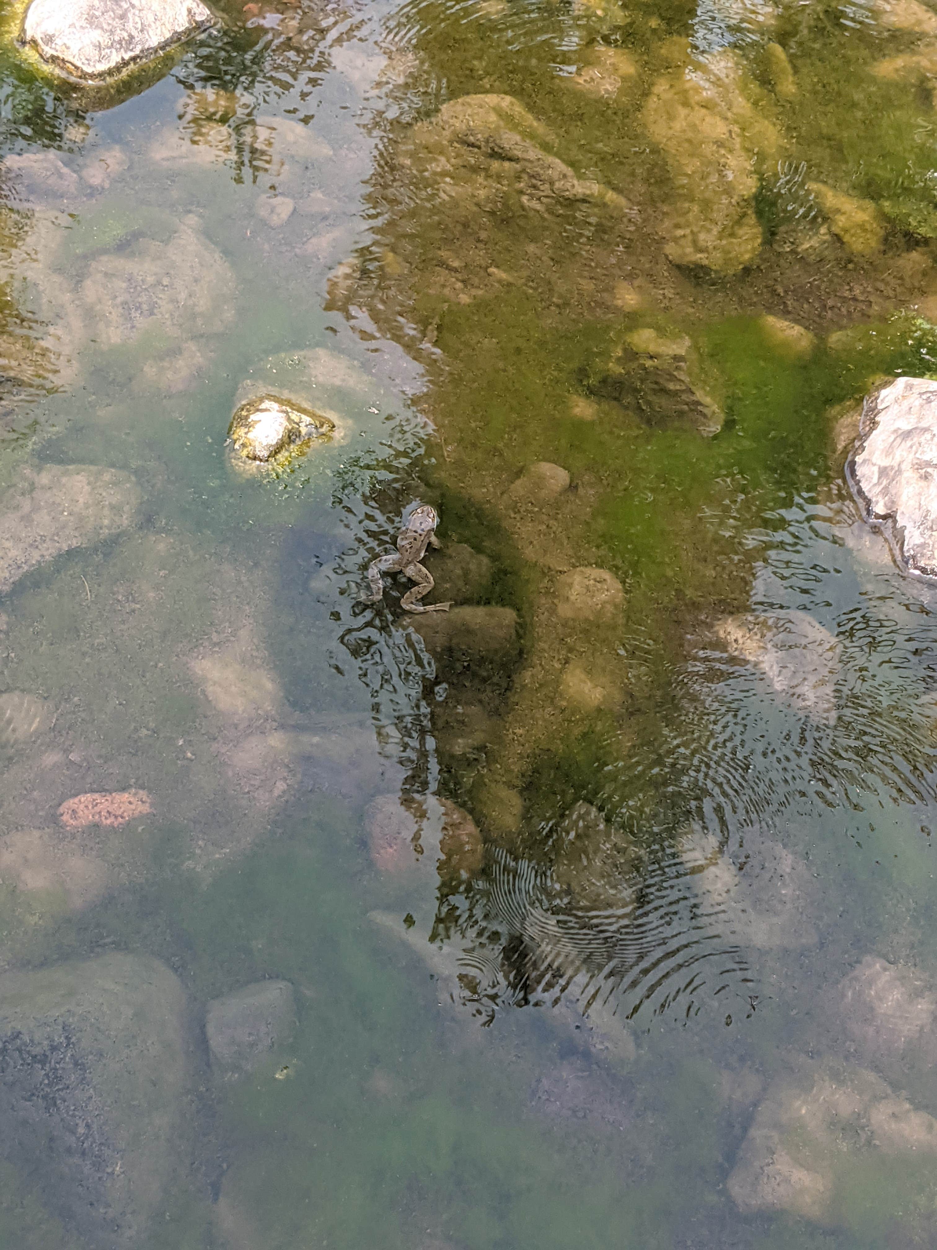 Camper-submitted photo at Hilgard Junction State Park Campground near Meacham, OR