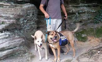 Kirsten W.'s photo of camping with pets at Pilot Mountain State Park Campground near Elkin, NC