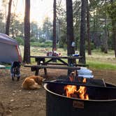 Review photo of Paso Picacho Campground — Cuyamaca Rancho State Park by Krystle L., June 28, 2018