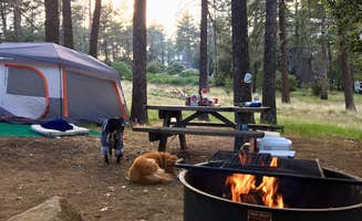 Krystle L.'s photo at Paso Picacho Campground — Cuyamaca Rancho State Park near Alpine, CA