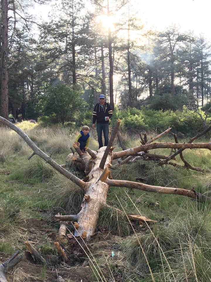 Camper-submitted photo at Paso Picacho Campground — Cuyamaca Rancho State Park near Ranchita, CA