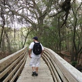 Review photo of Suwannee River State Park Campground by Kirsten  W., June 28, 2018